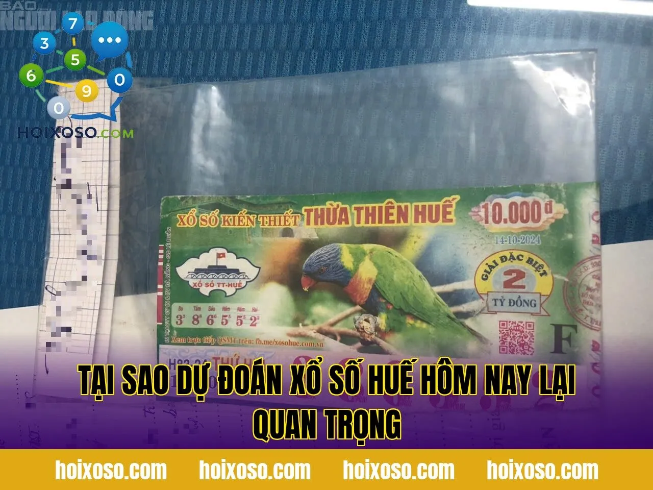 Tại sao dự đoán xổ số Huế hôm nay lại quan trọng