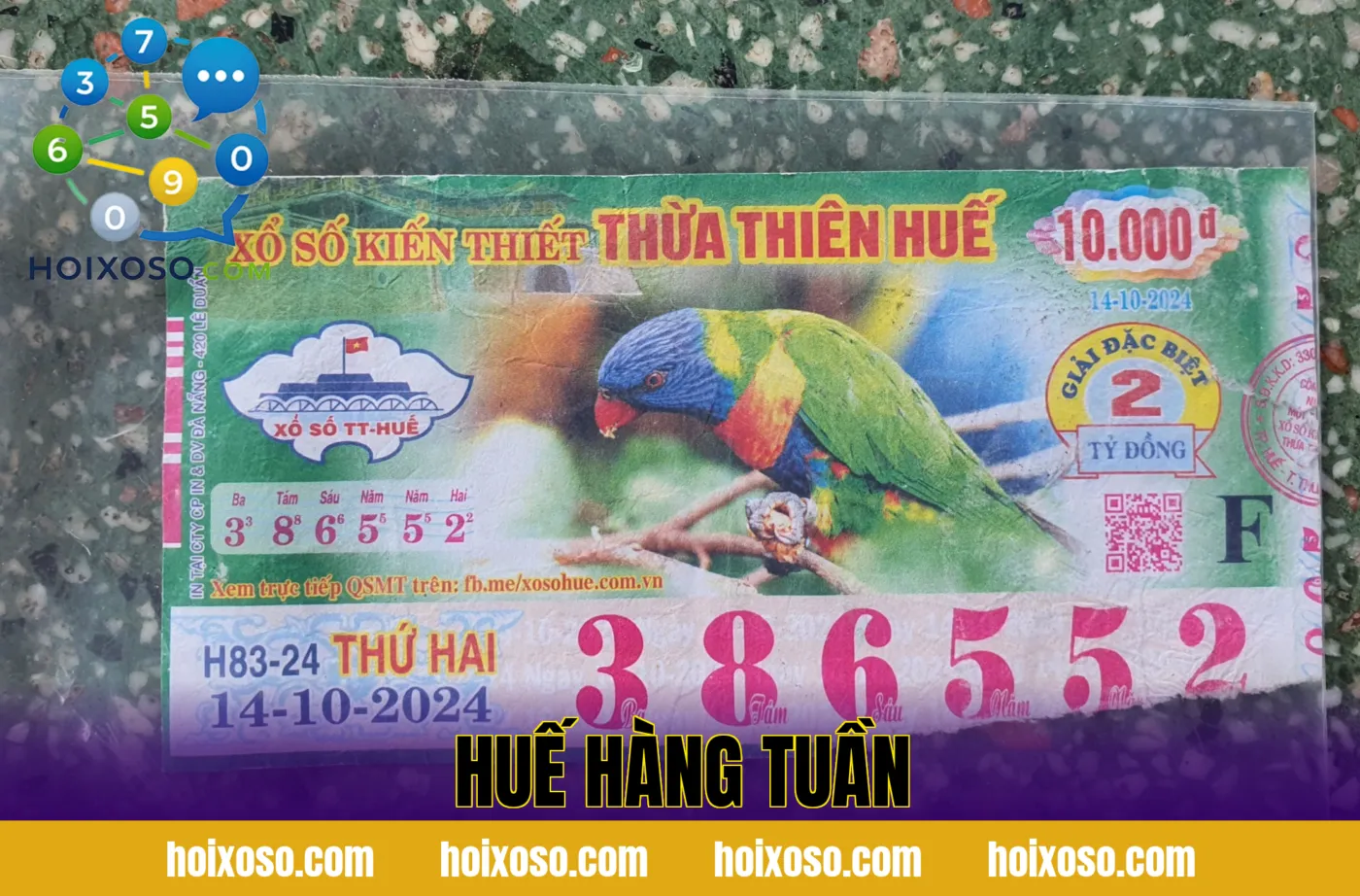 HUẾ HÀNG TUẦN