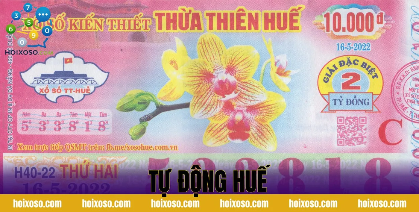 TỰ ĐỘNG HUẾ