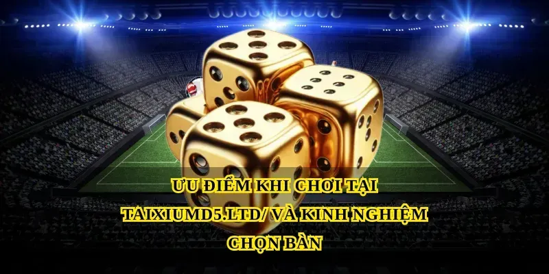 Ưu điểm khi chơi tại Taixiumd5.ltd/ và kinh nghiệm chọn bàn